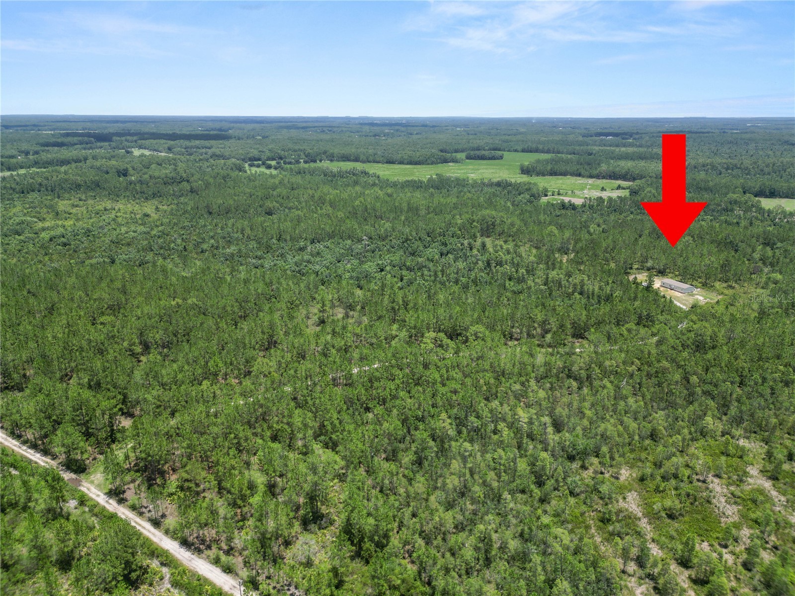 3450 Salyers Road Clermont FL 34714 L4963472 image42