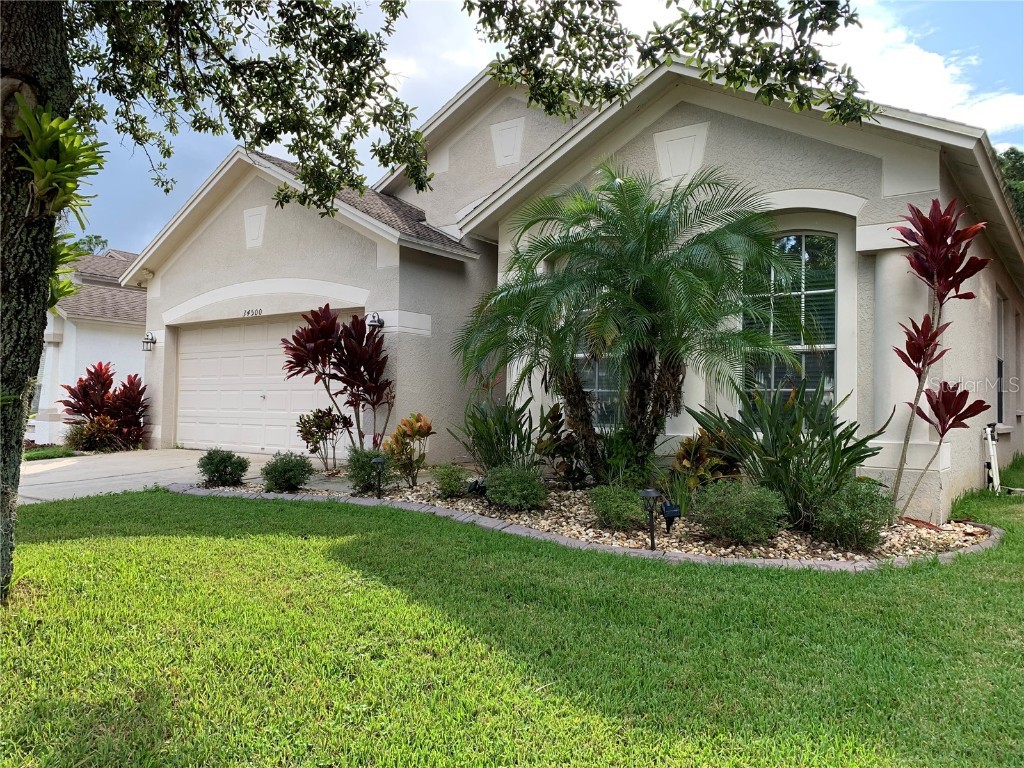 34500 Cliffcreek Court Wesley Chapel FL 33545 U8135753 image1