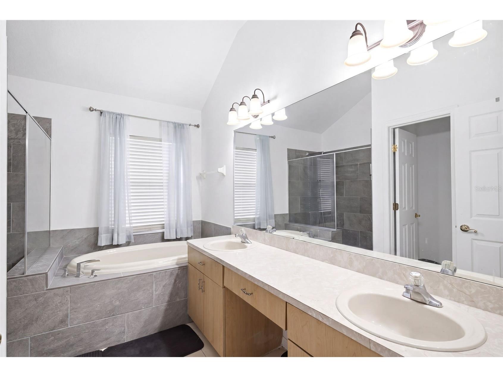 34507 Smart Drive Zephyrhills FL 33541 W7886217 image21