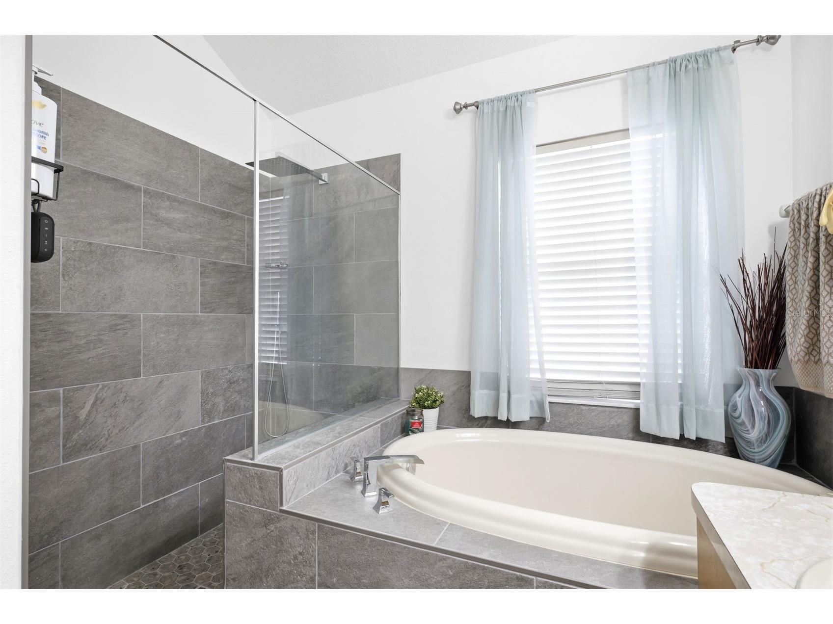 34507 Smart Drive Zephyrhills FL 33541 W7886217 image22
