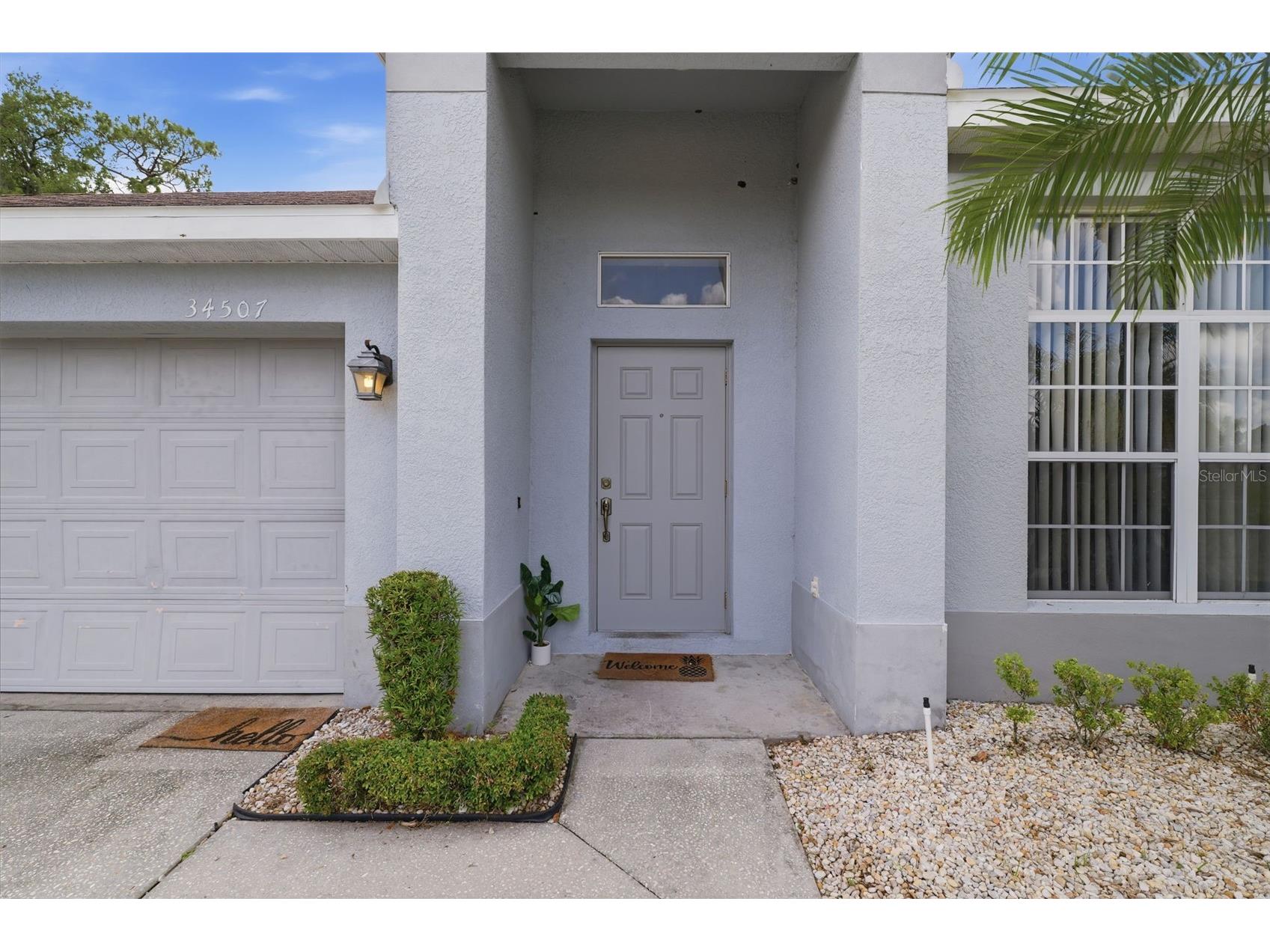 34507 Smart Drive Zephyrhills FL 33541 W7886217 image4