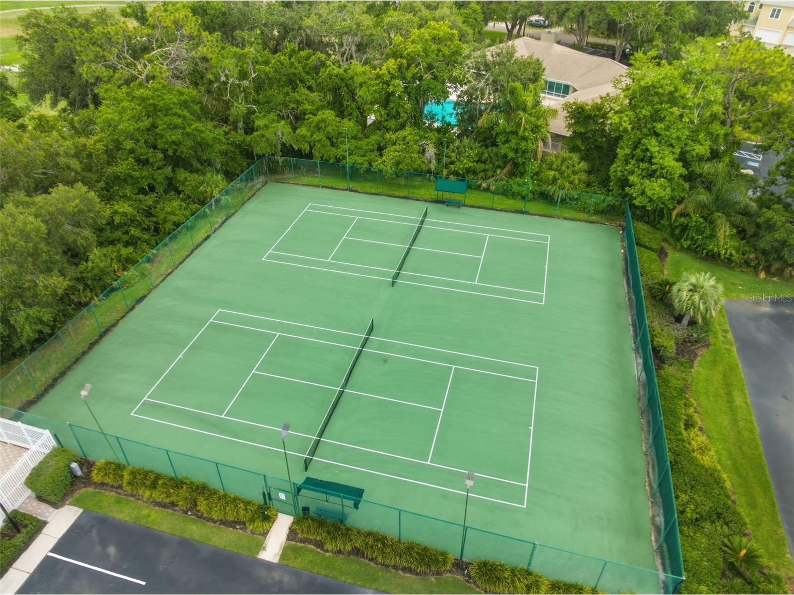 34507 Smart Drive Zephyrhills FL 33541 W7886217 image42