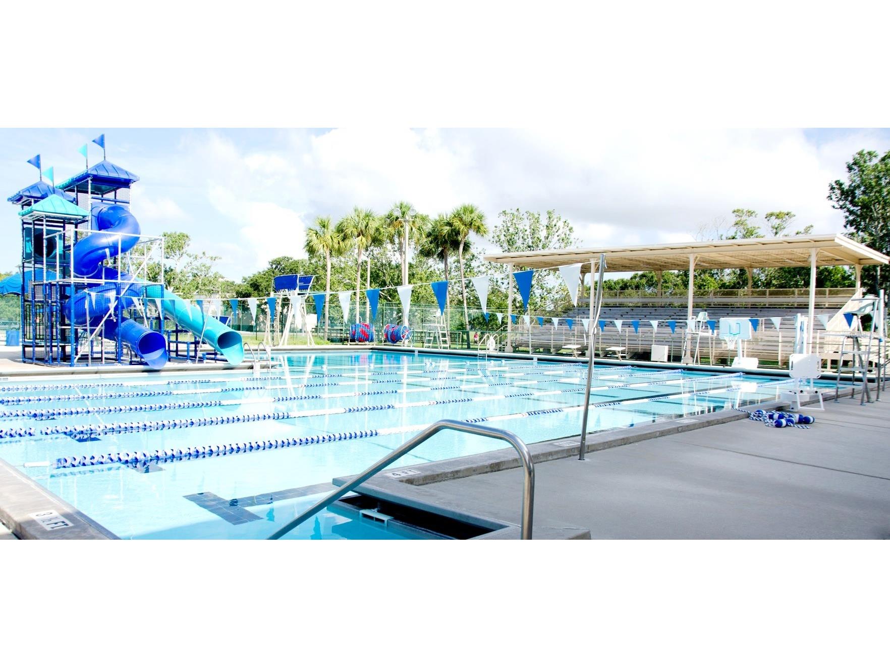 3451 79th Street N Saint Petersburg FL 33710 S5150557 image20