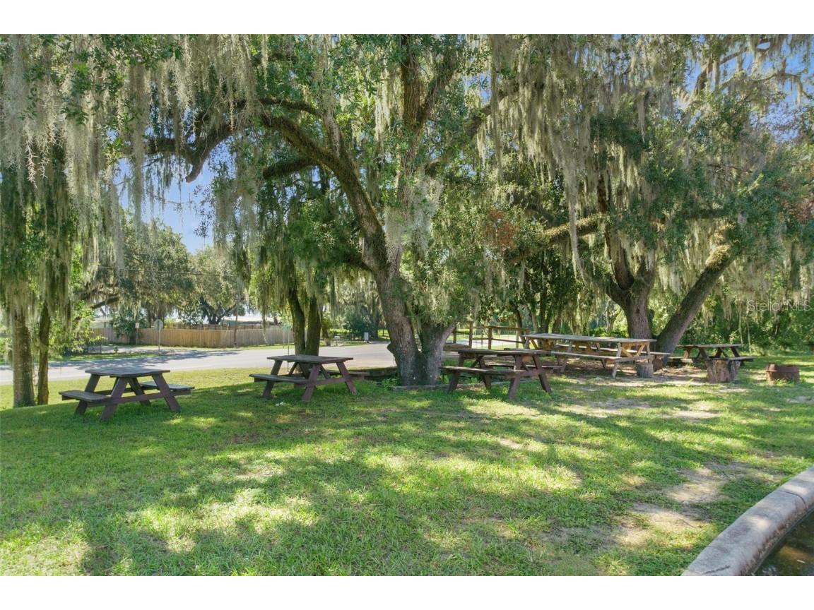 3451 E Louise Lane Hernando FL 34442 OM713993 image29