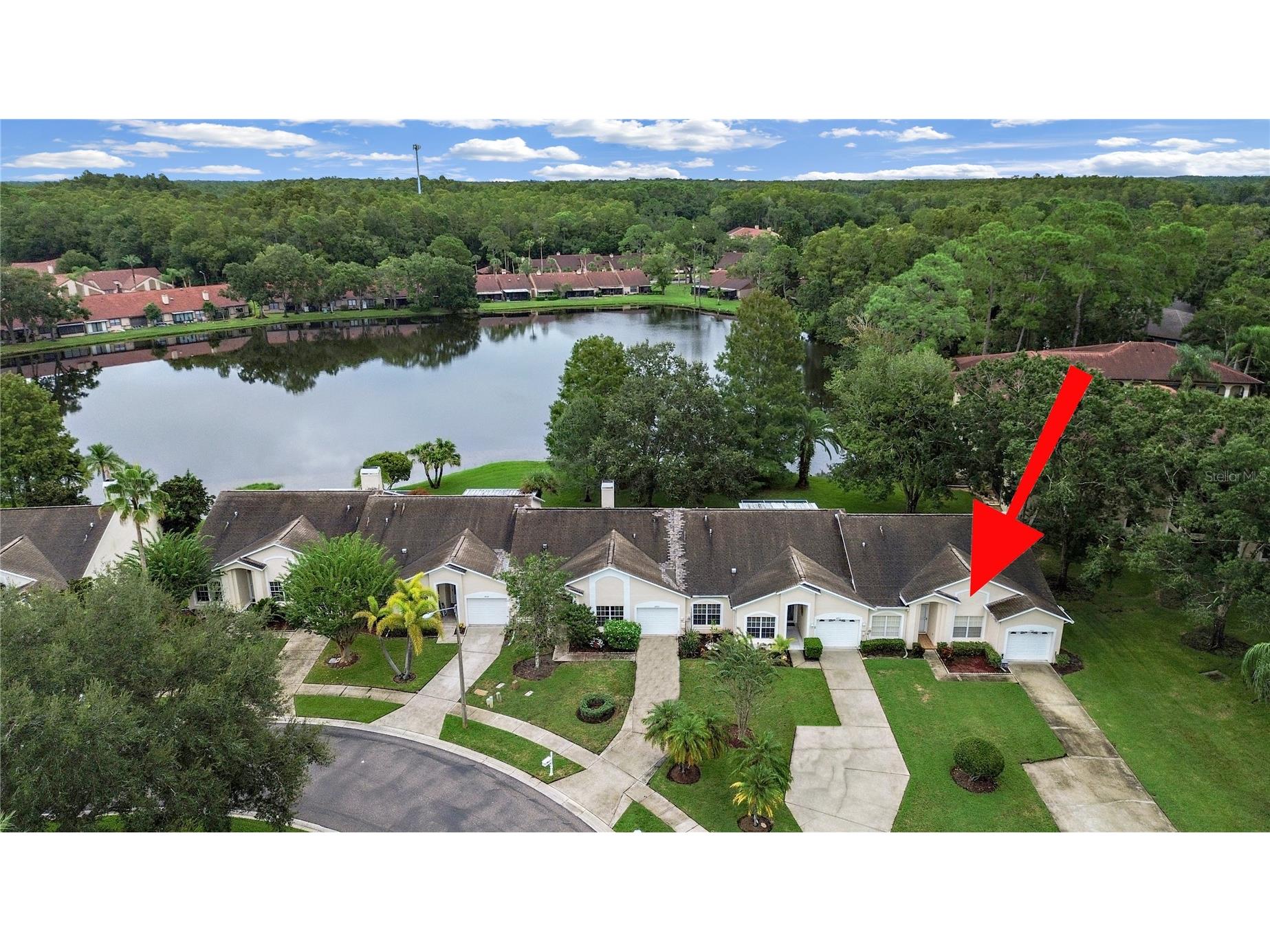 3451 Mermoor Drive Palm Harbor FL 34685 TB8473799 image2