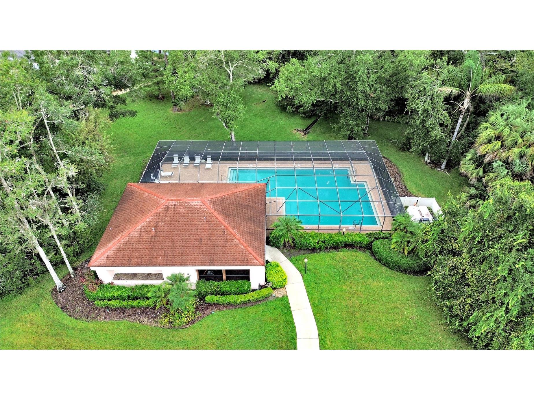 3451 Mermoor Drive Palm Harbor FL 34685 TB8473799 image3