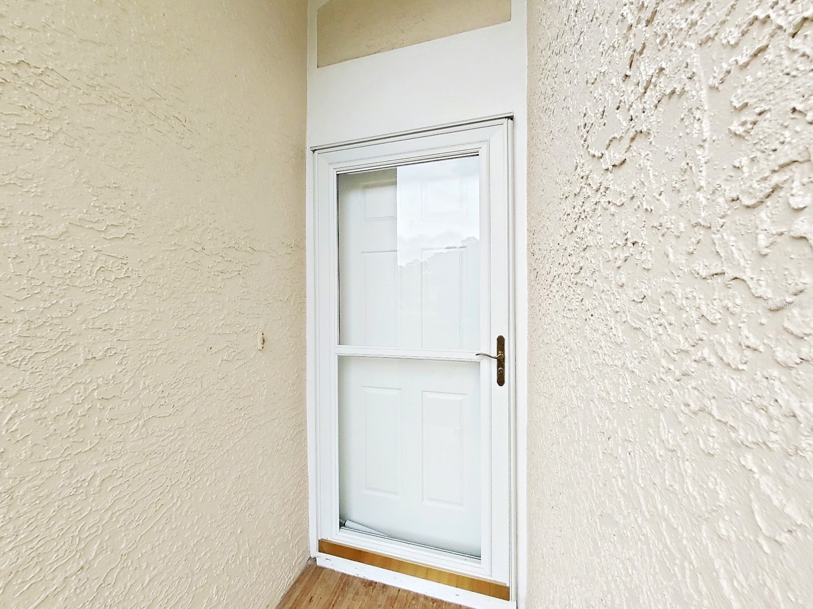 3451 Mermoor Drive Palm Harbor FL 34685 TB8473799 image5