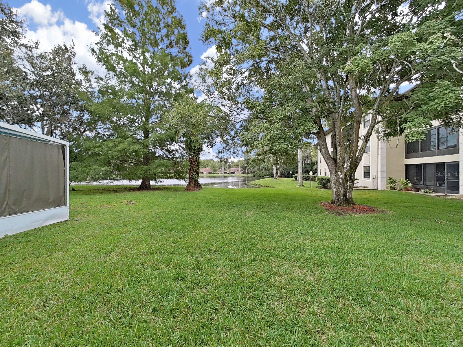 3451 Mermoor Drive Palm Harbor FL 34685 TB8473799 image6