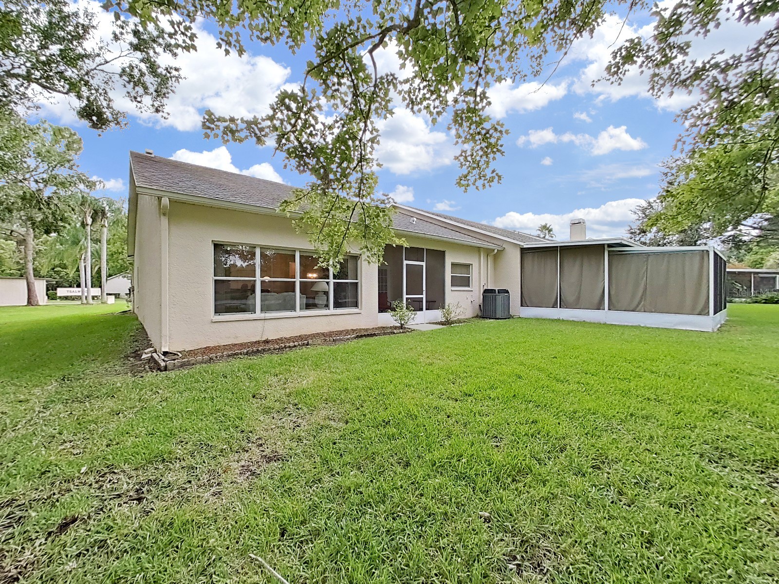 3451 Mermoor Drive Palm Harbor FL 34685 TB8473799 image8