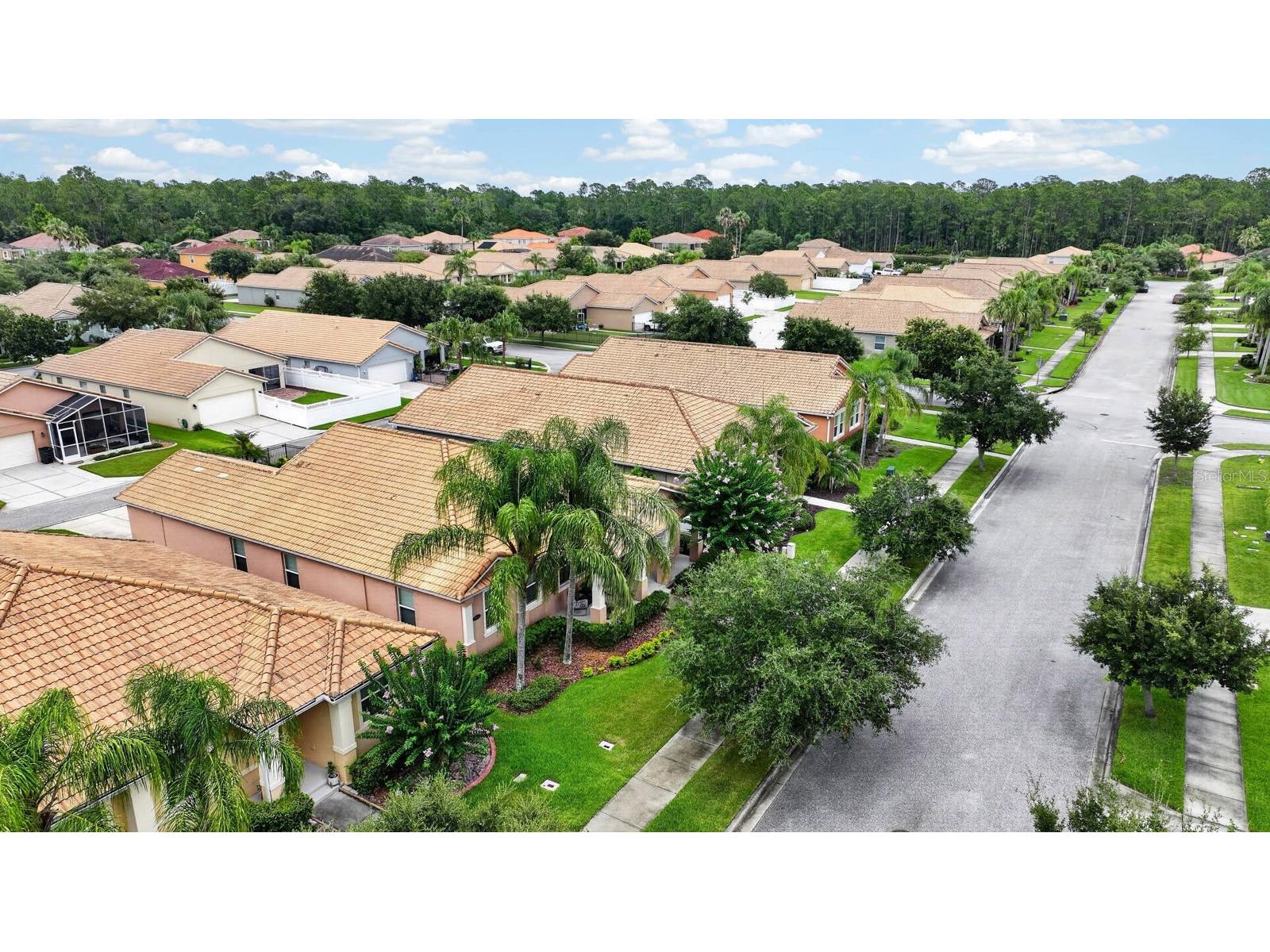 3451 Poneta Avenue New Smyrna Beach FL 32168 NS1088630 image53