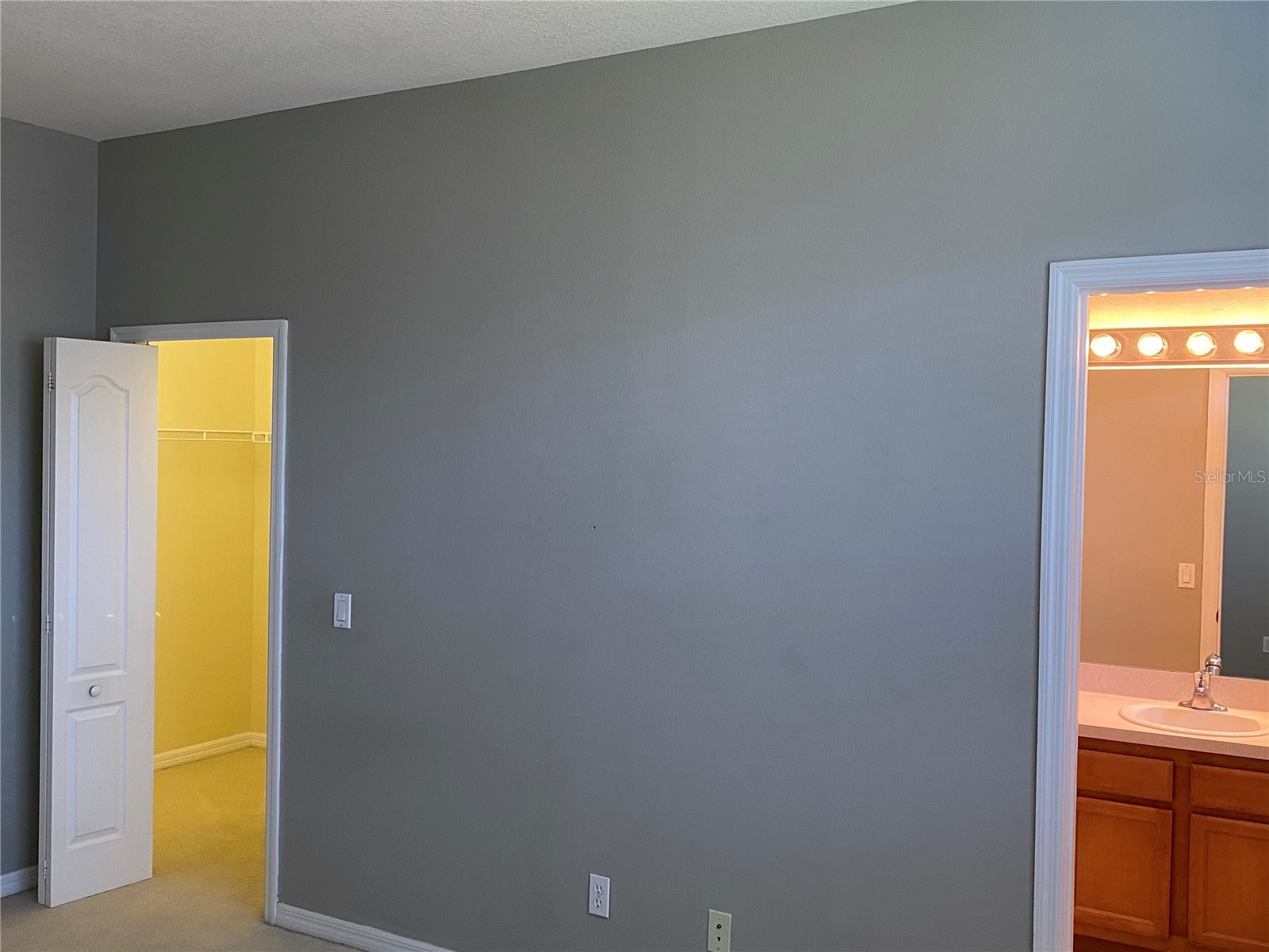 3451 Victoria Pines Drive Orlando FL 32829 O6308648 image13