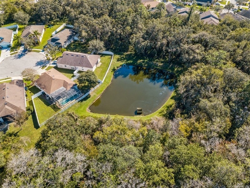 34510 Cliffcreek Court Wesley Chapel FL 33545 T3417876 image1