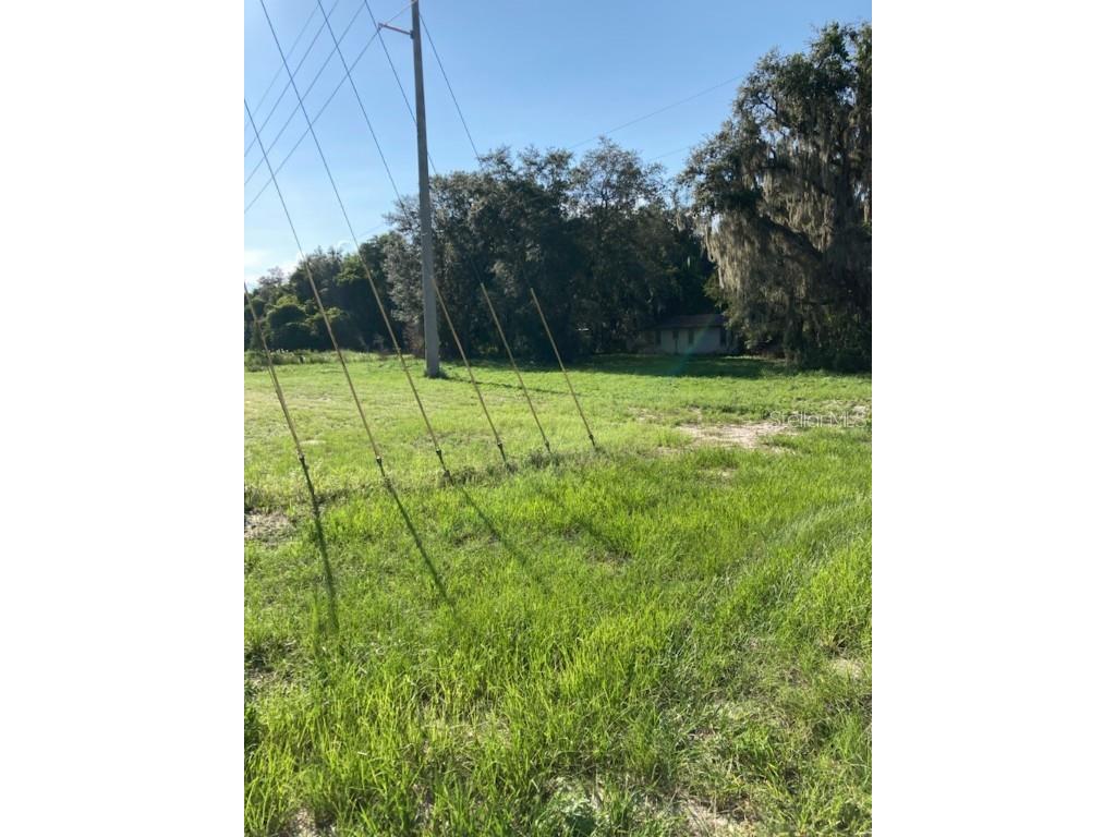 34511 Radio Road Leesburg FL 34788 O6049670 image1