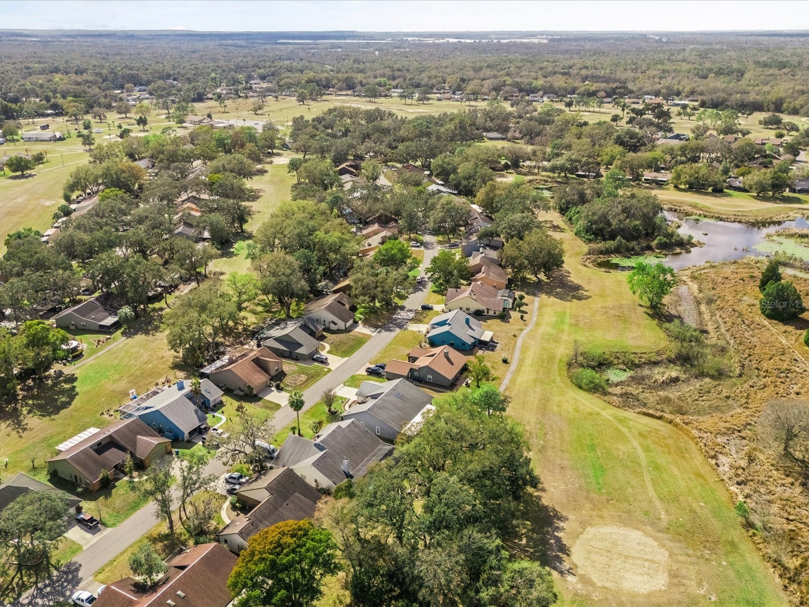 34515 Cedarfield Drive Dade City FL 33523 TB8478415 image50