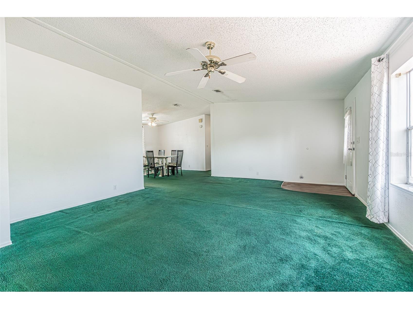 34516 Dustin Court Zephyrhills FL 33541 TB8506265 image27
