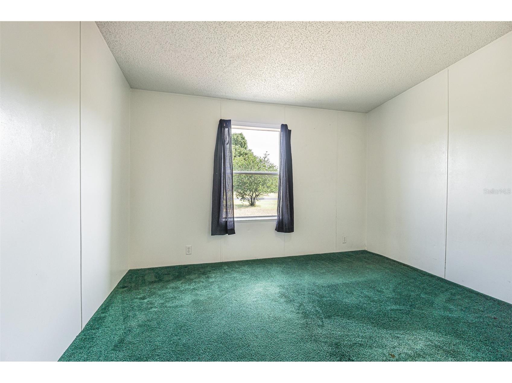 34516 Dustin Court Zephyrhills FL 33541 TB8506265 image30