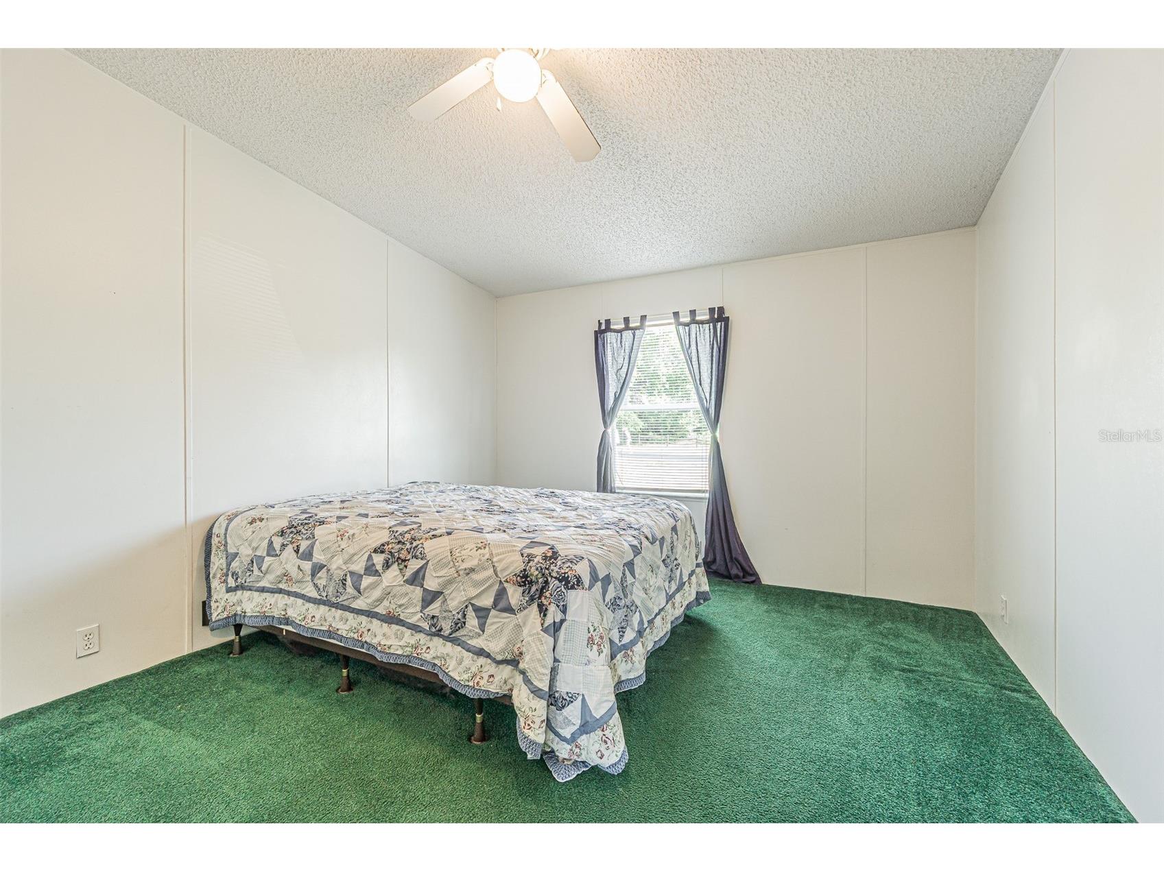 34516 Dustin Court Zephyrhills FL 33541 TB8506265 image35