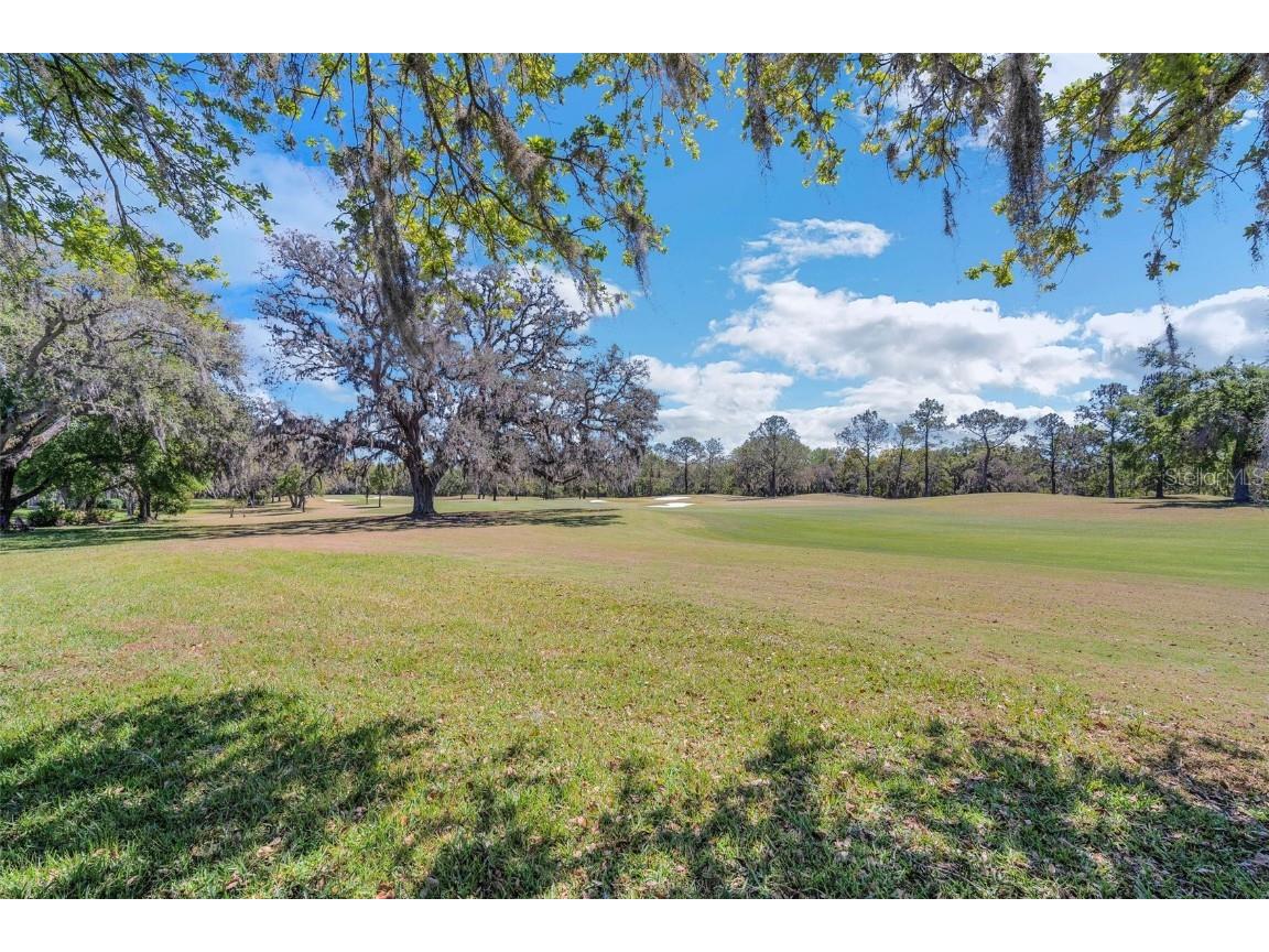 34516 Heavenly Lane Dade City FL 33525 TB8373931 image27