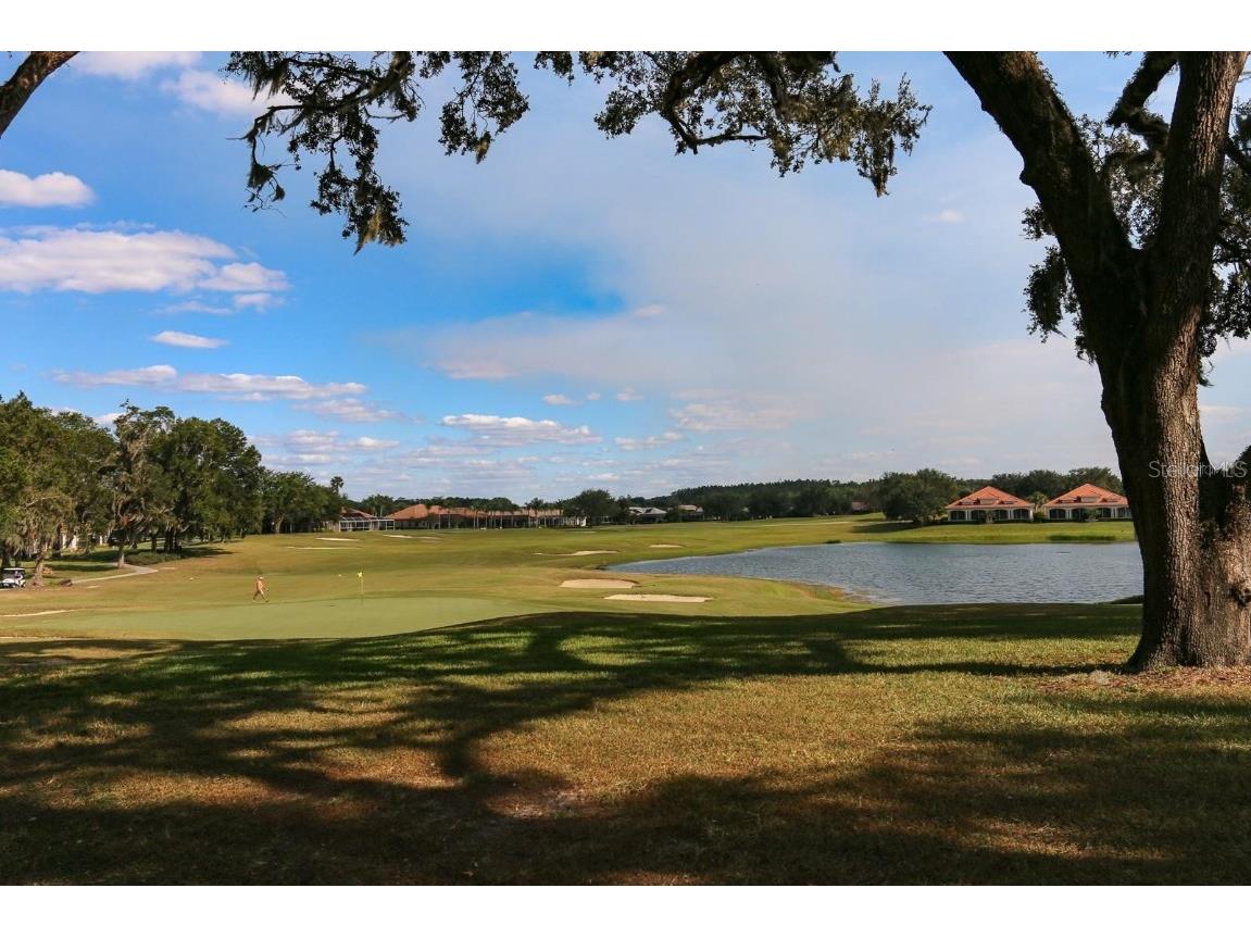 34516 Heavenly Lane Dade City FL 33525 TB8373931 image35