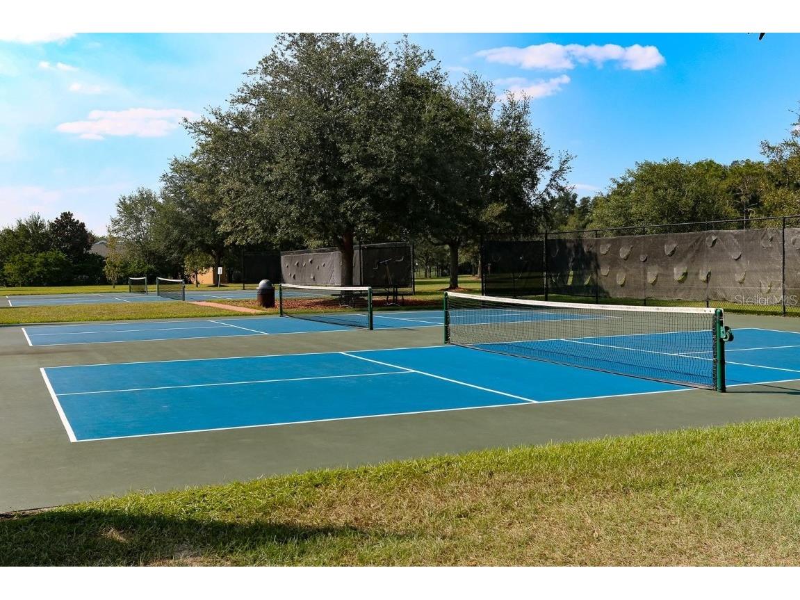 34516 Heavenly Lane Dade City FL 33525 TB8373931 image44