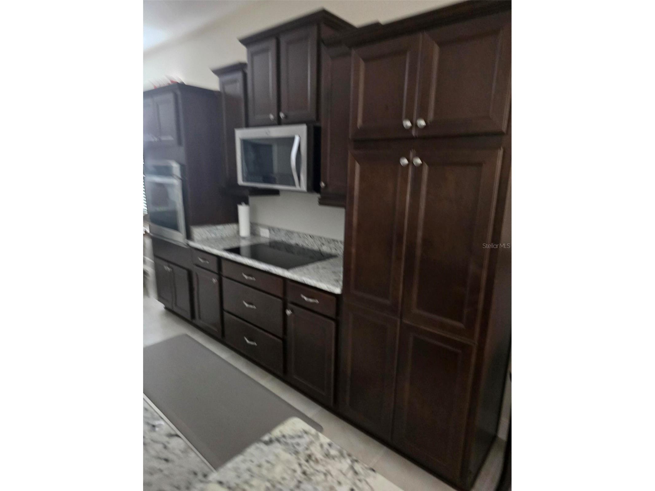 3452 Bosie Run The Villages FL 32163 R4911679 image31