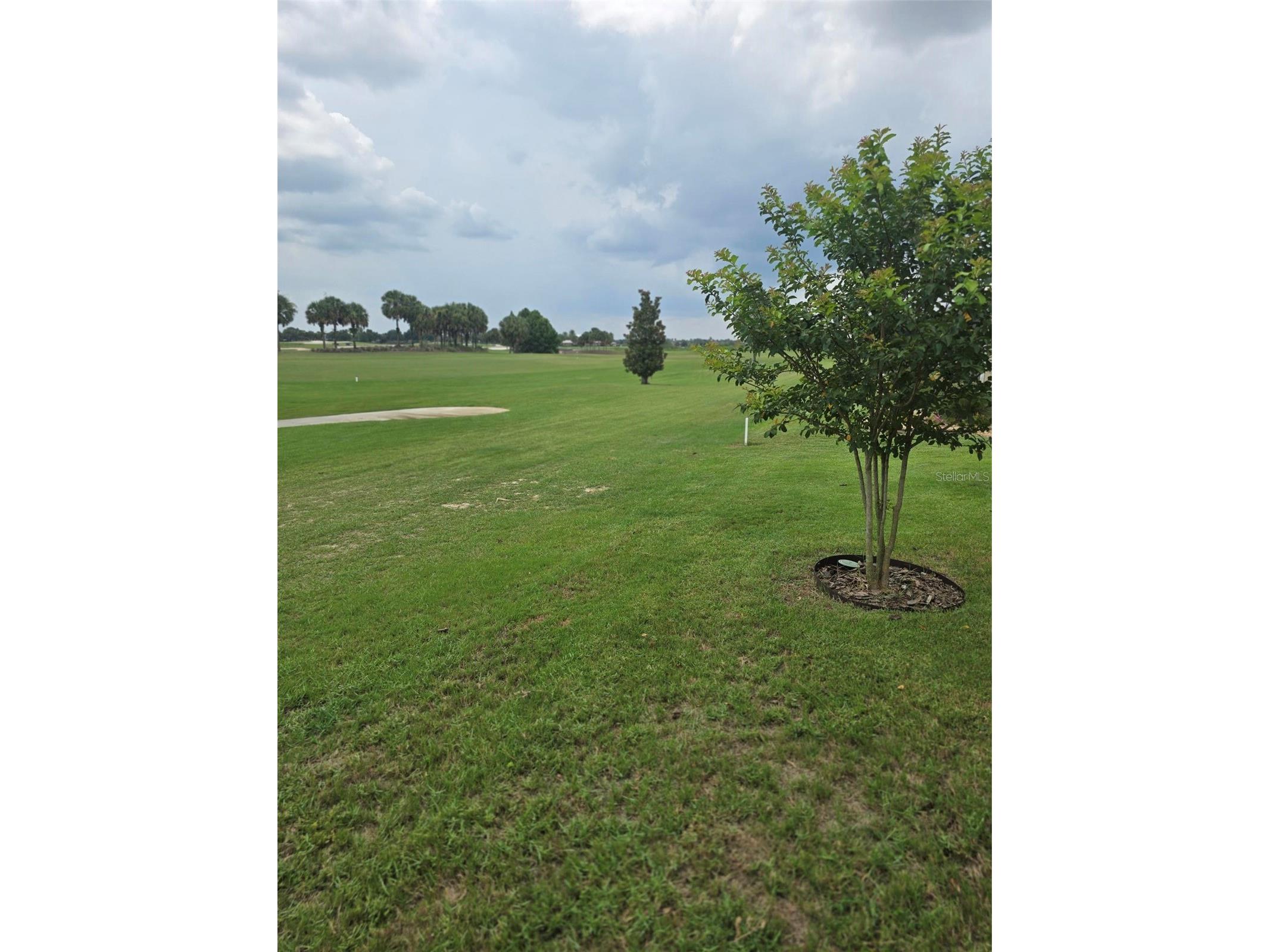 3452 Bosie Run The Villages FL 32163 R4911679 image54