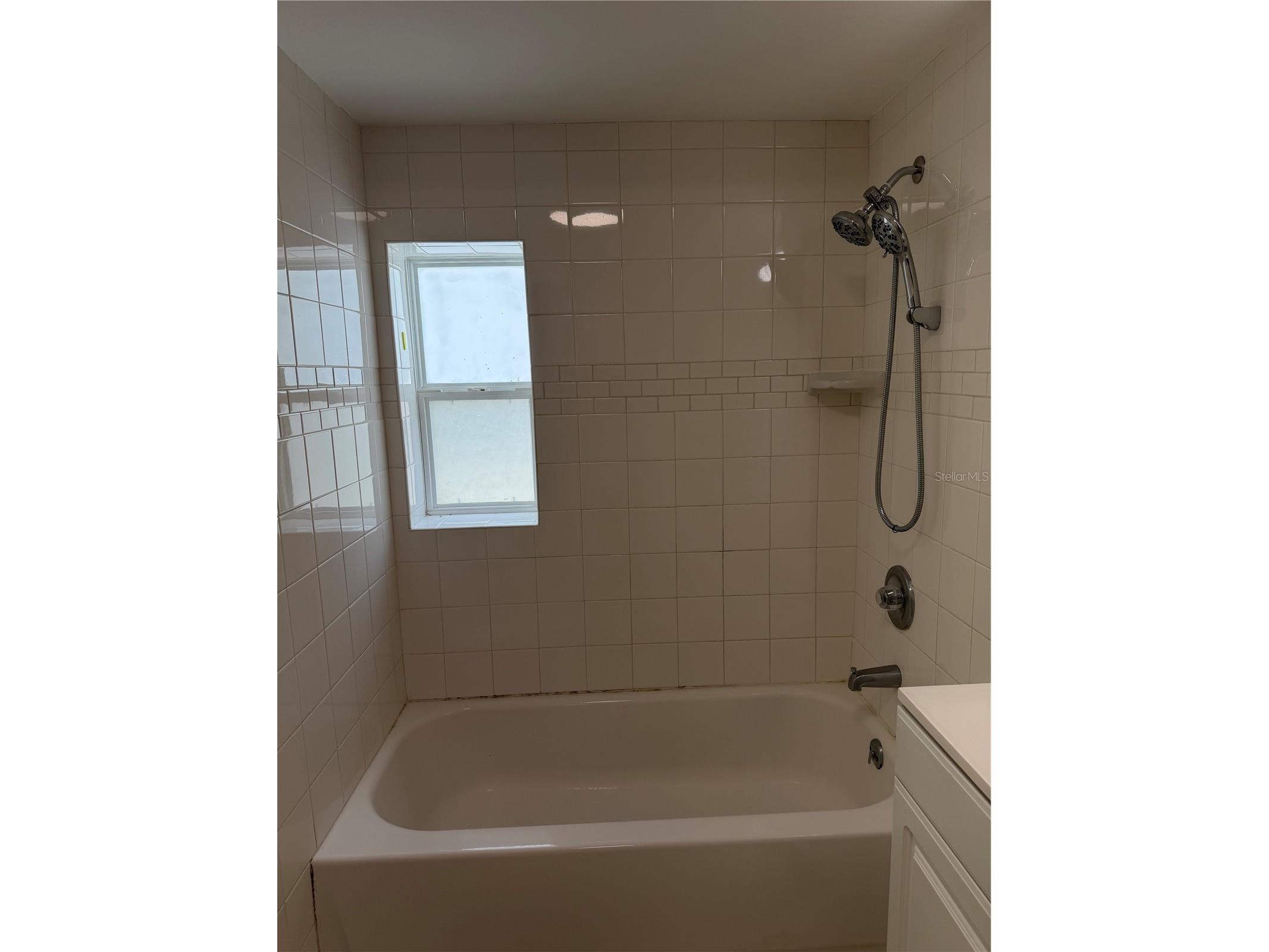 3452 Columbus Drive Holiday FL 34691 TB8517125 image20