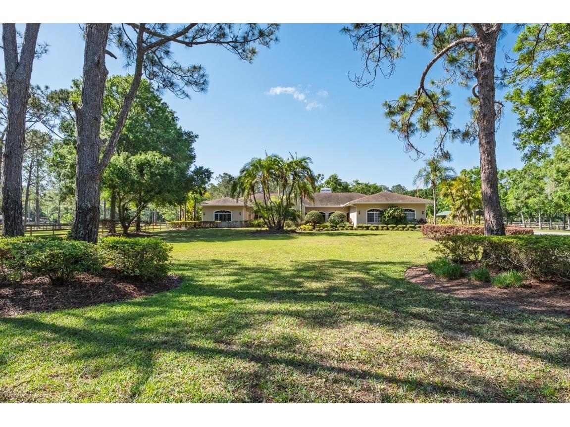 3452 Forelock Road Tarpon Springs FL 34688 TB8392947 image1