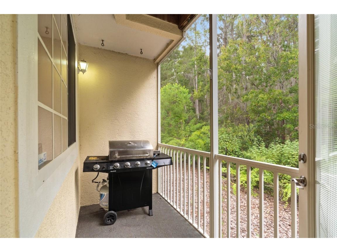 3452 Primrose Way Palm Harbor FL 34683 TB8424626 image15