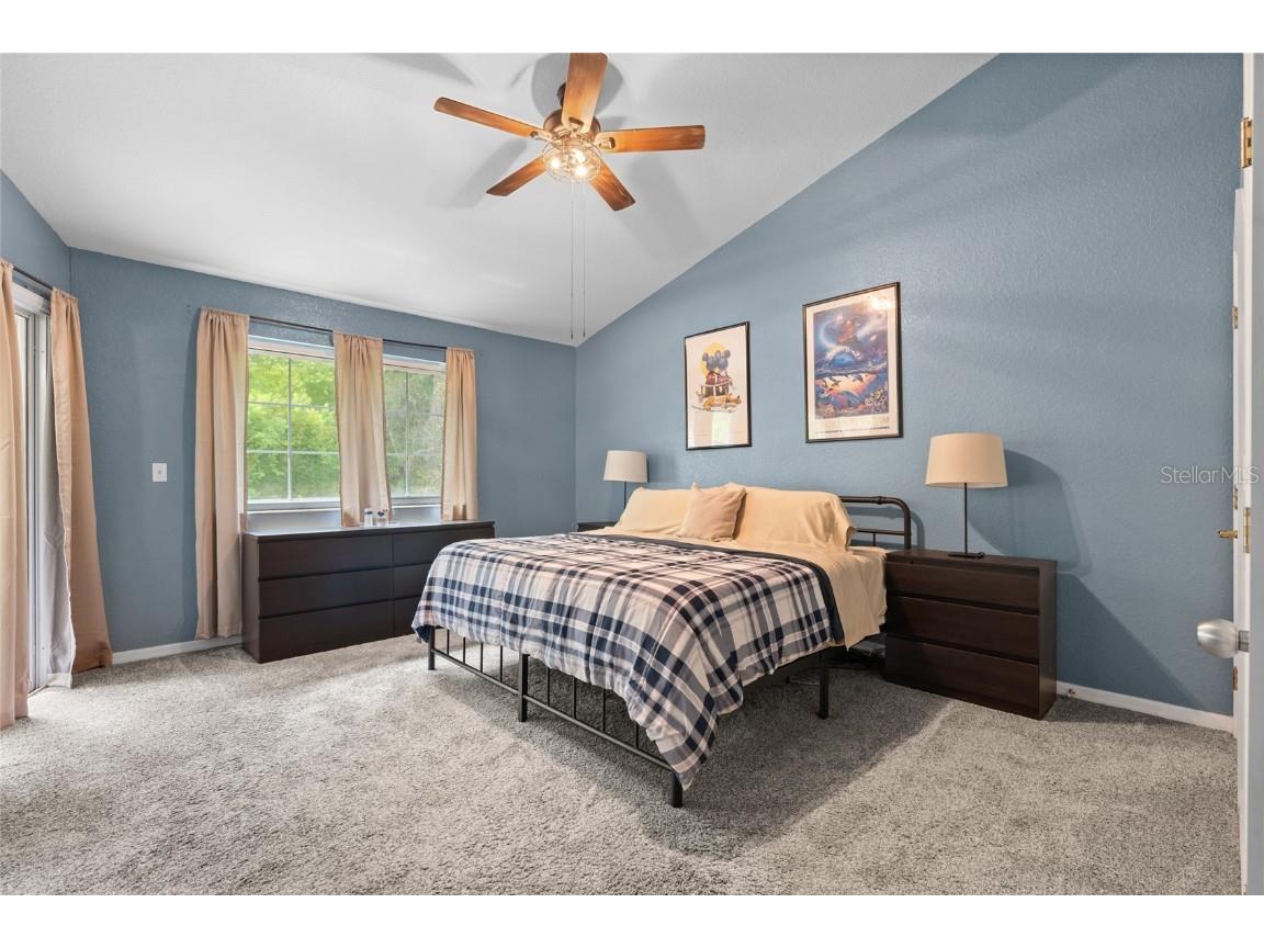 3452 Primrose Way Palm Harbor FL 34683 TB8424626 image17