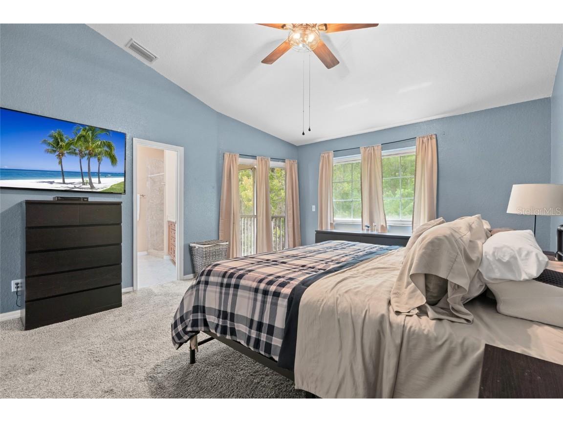 3452 Primrose Way Palm Harbor FL 34683 TB8424626 image18