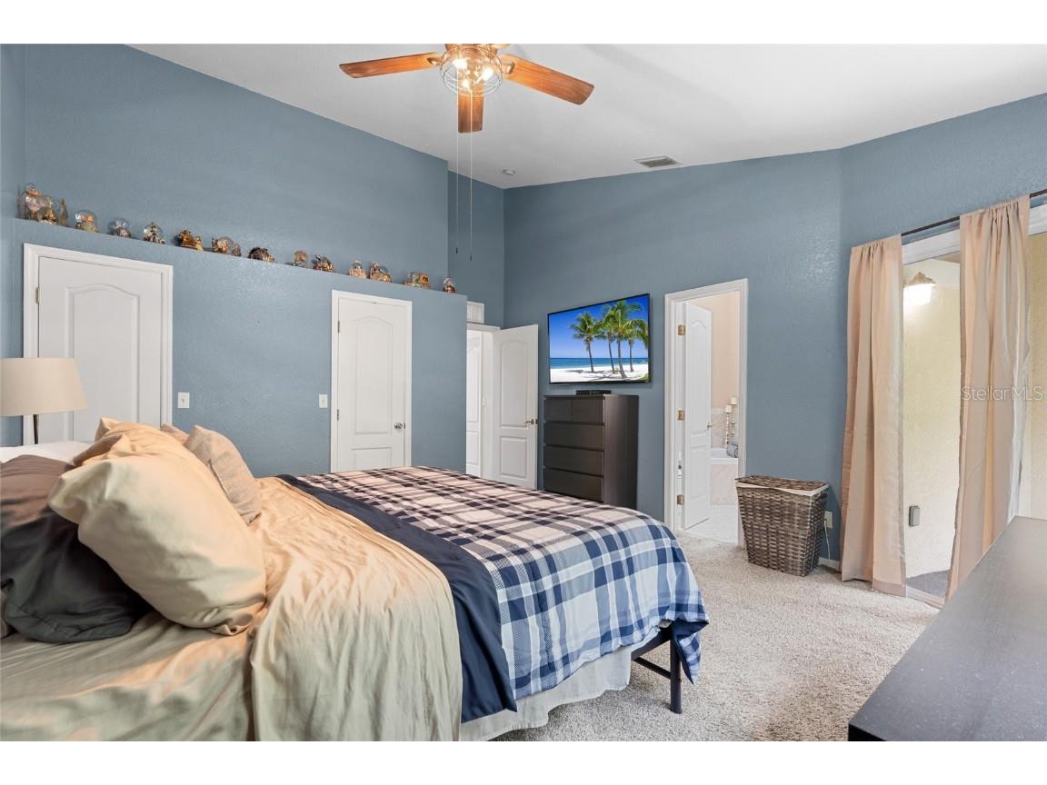 3452 Primrose Way Palm Harbor FL 34683 TB8424626 image19