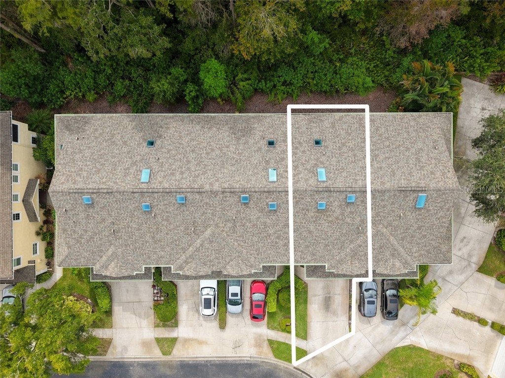 3452 Primrose Way Palm Harbor FL 34683 TB8424626 image2