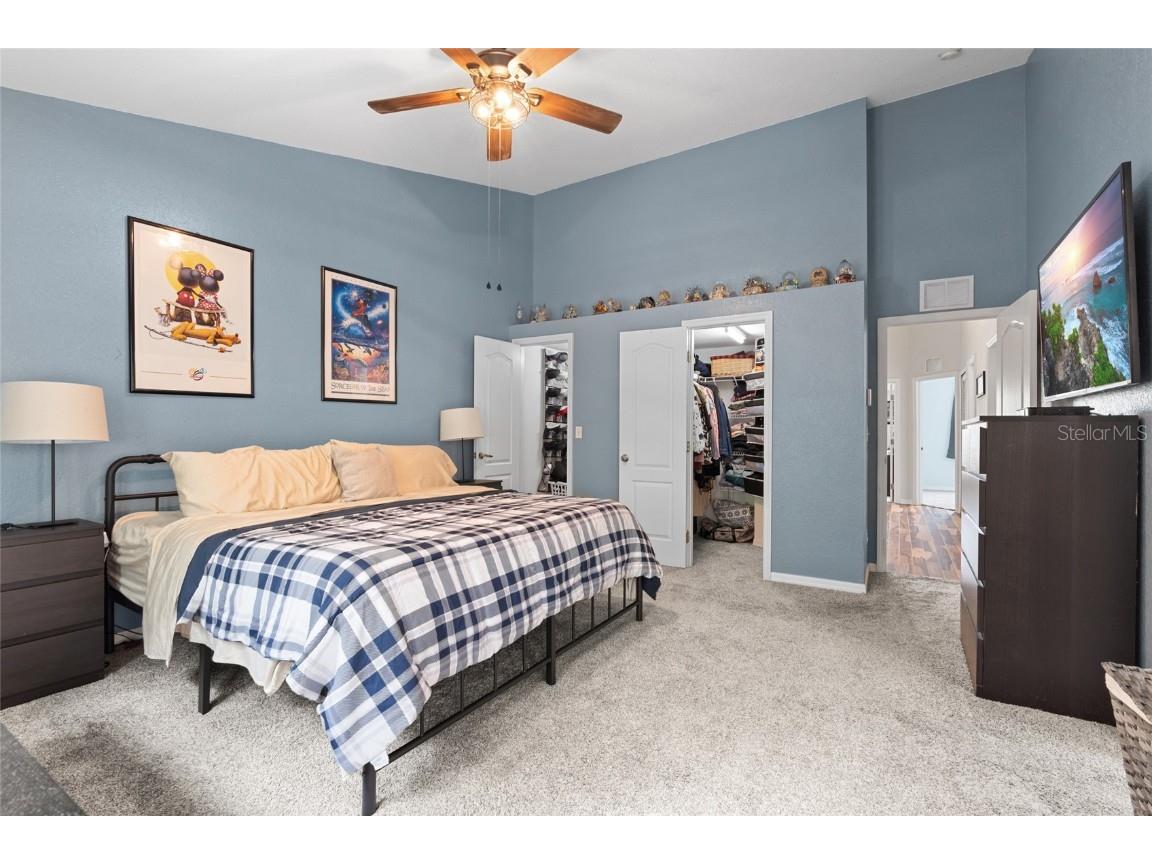 3452 Primrose Way Palm Harbor FL 34683 TB8424626 image21