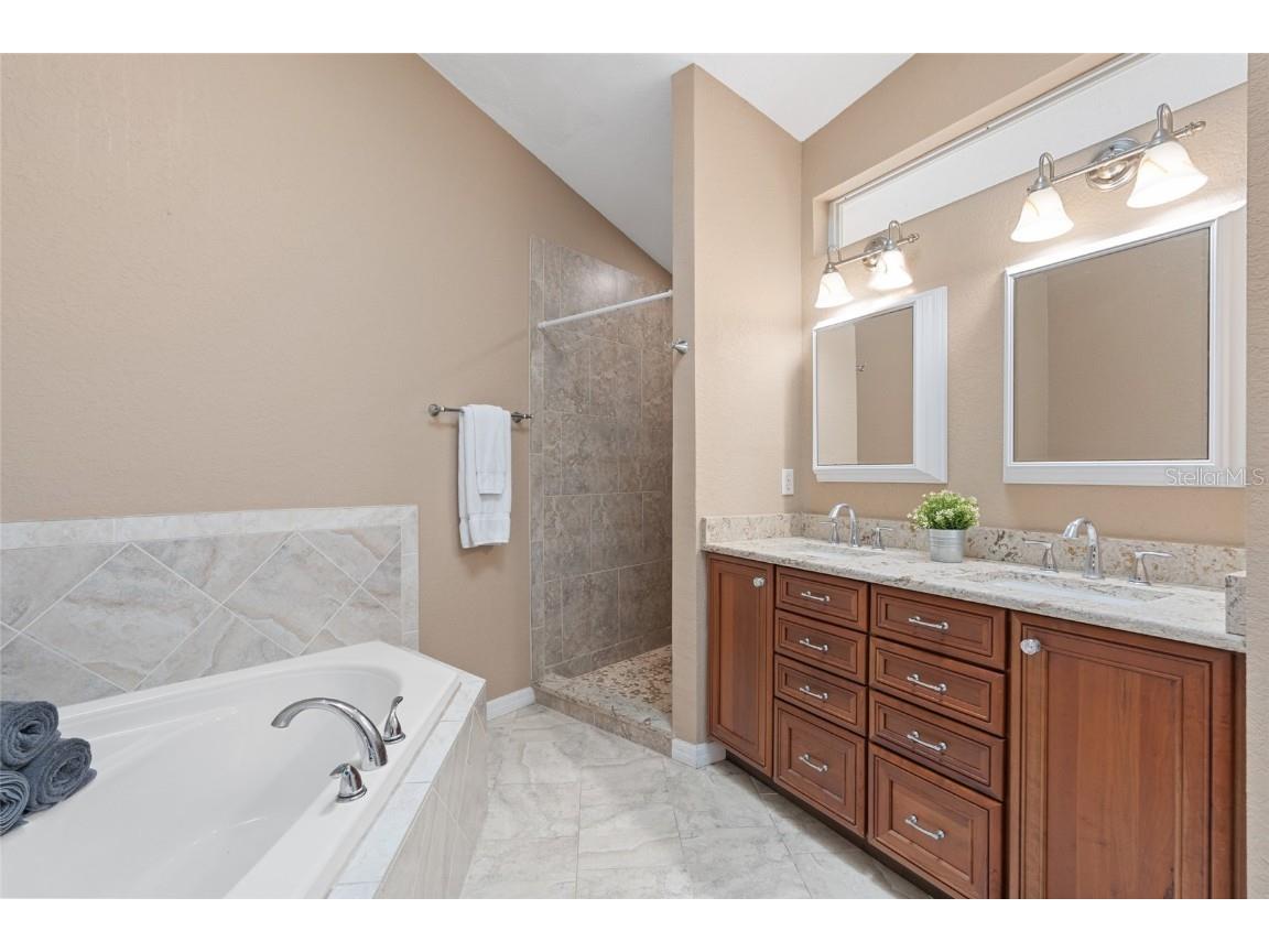 3452 Primrose Way Palm Harbor FL 34683 TB8424626 image23