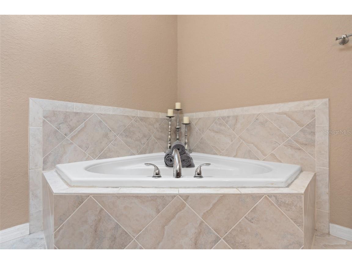 3452 Primrose Way Palm Harbor FL 34683 TB8424626 image24