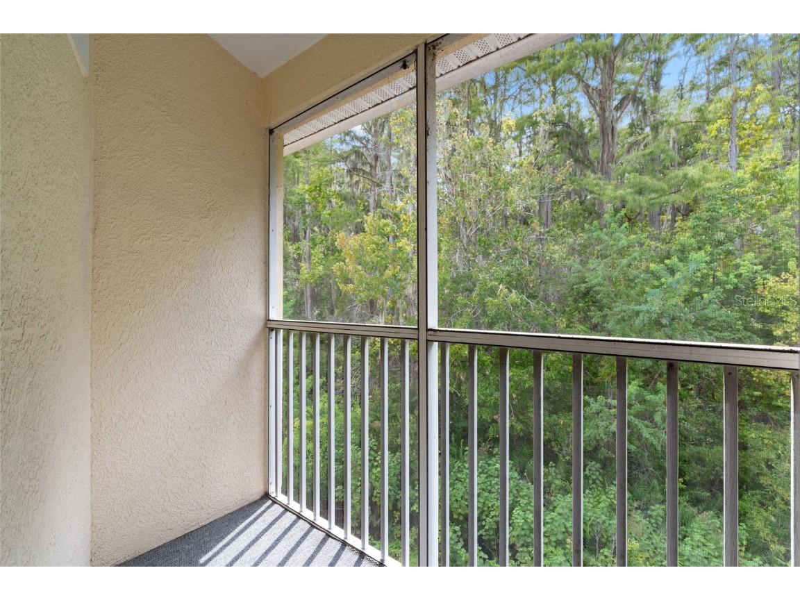 3452 Primrose Way Palm Harbor FL 34683 TB8424626 image28