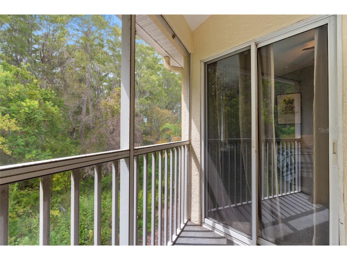 3452 Primrose Way Palm Harbor FL 34683 TB8424626 image29