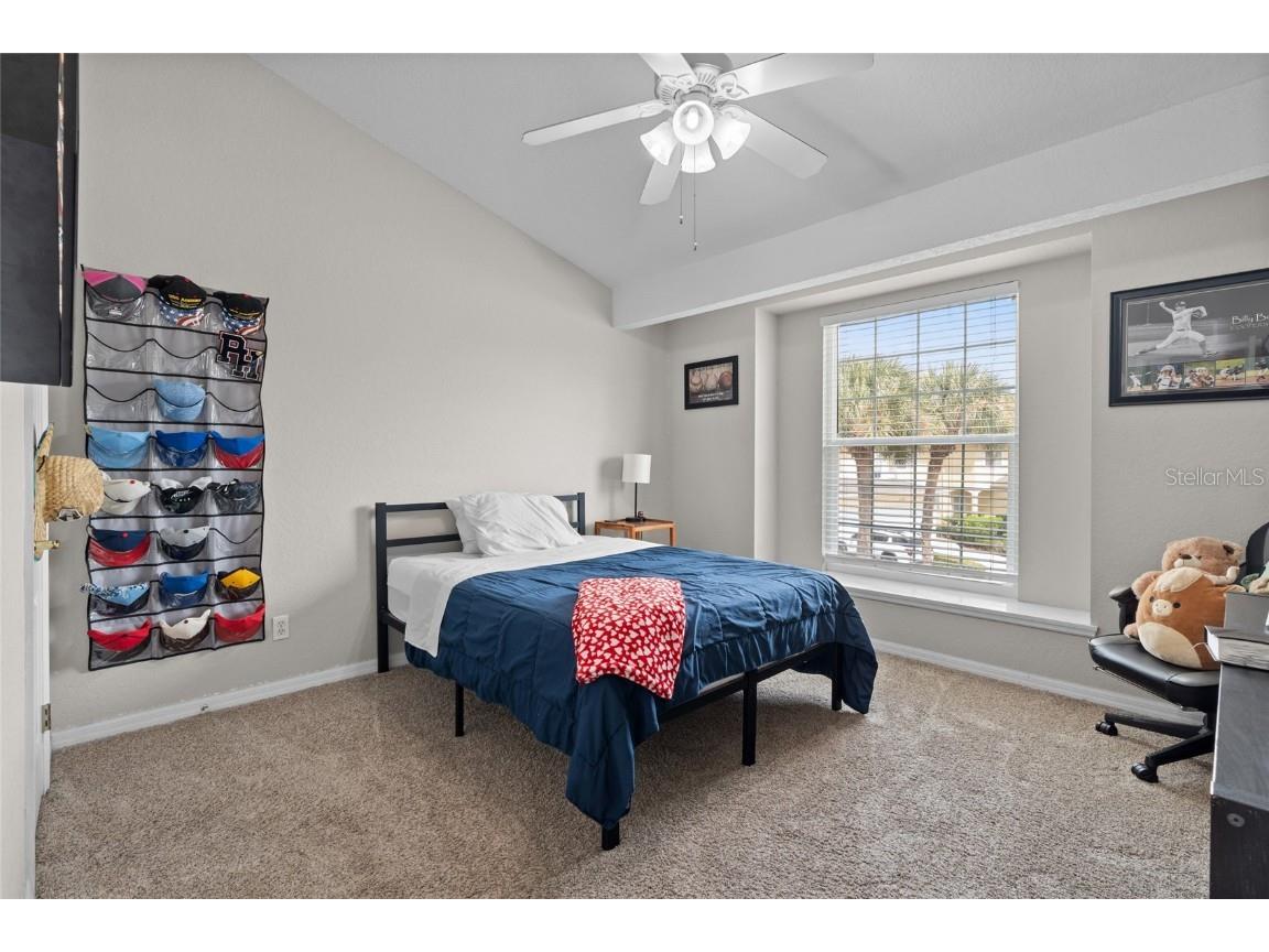 3452 Primrose Way Palm Harbor FL 34683 TB8424626 image30