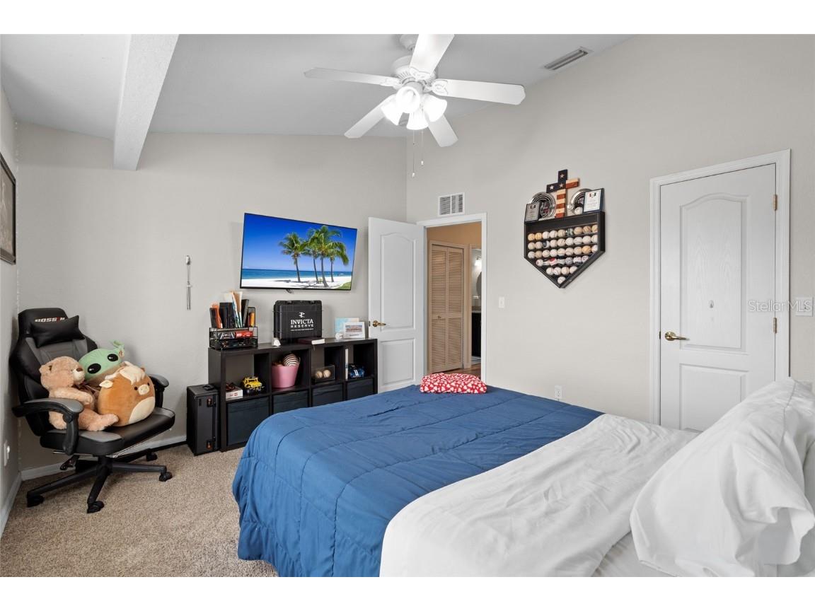 3452 Primrose Way Palm Harbor FL 34683 TB8424626 image31