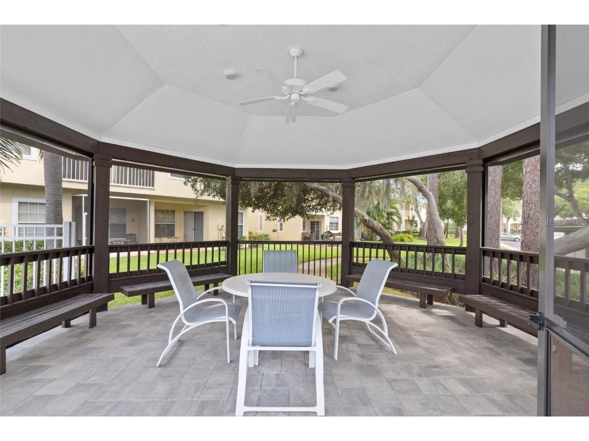 3452 Primrose Way Palm Harbor FL 34683 TB8424626 image39