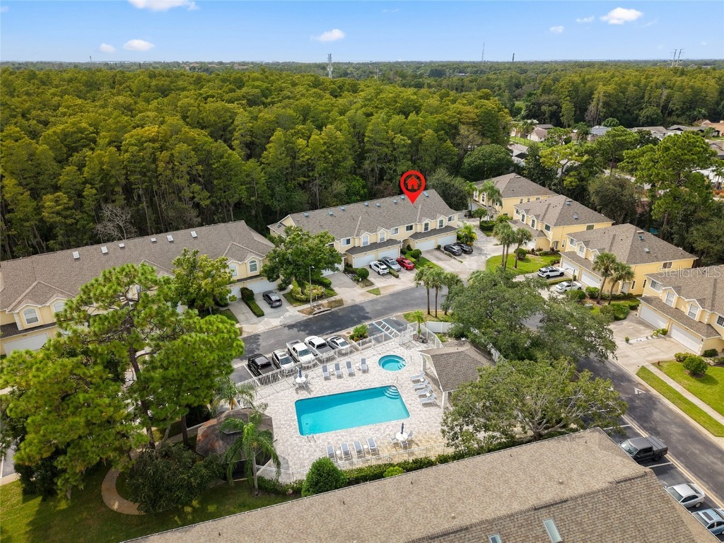 3452 Primrose Way Palm Harbor FL 34683 TB8424626 image40