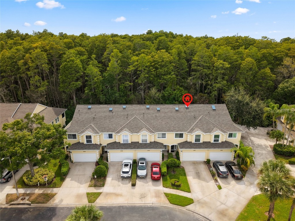 3452 Primrose Way Palm Harbor FL 34683 TB8424626 image41