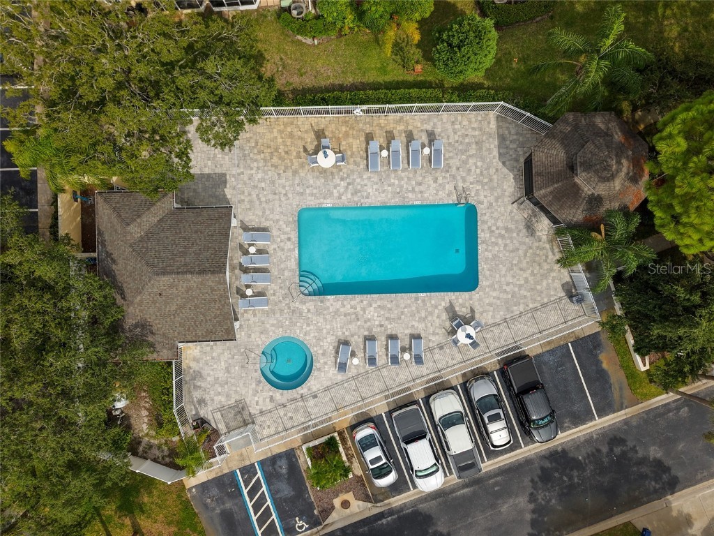 3452 Primrose Way Palm Harbor FL 34683 TB8424626 image42