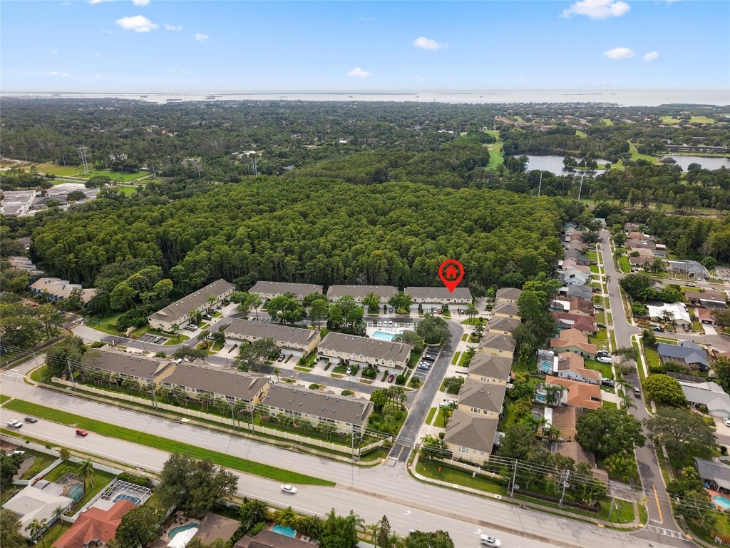 3452 Primrose Way Palm Harbor FL 34683 TB8424626 image43