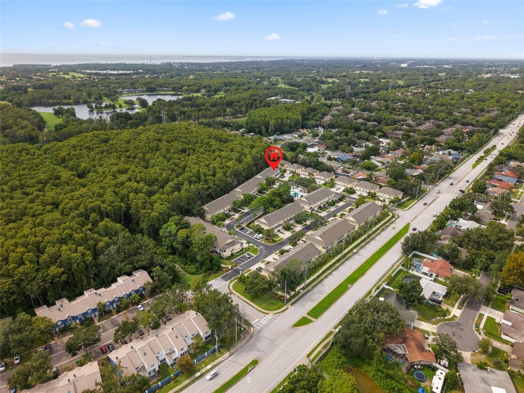 3452 Primrose Way Palm Harbor FL 34683 TB8424626 image44