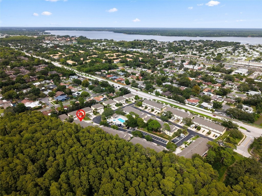 3452 Primrose Way Palm Harbor FL 34683 TB8424626 image45