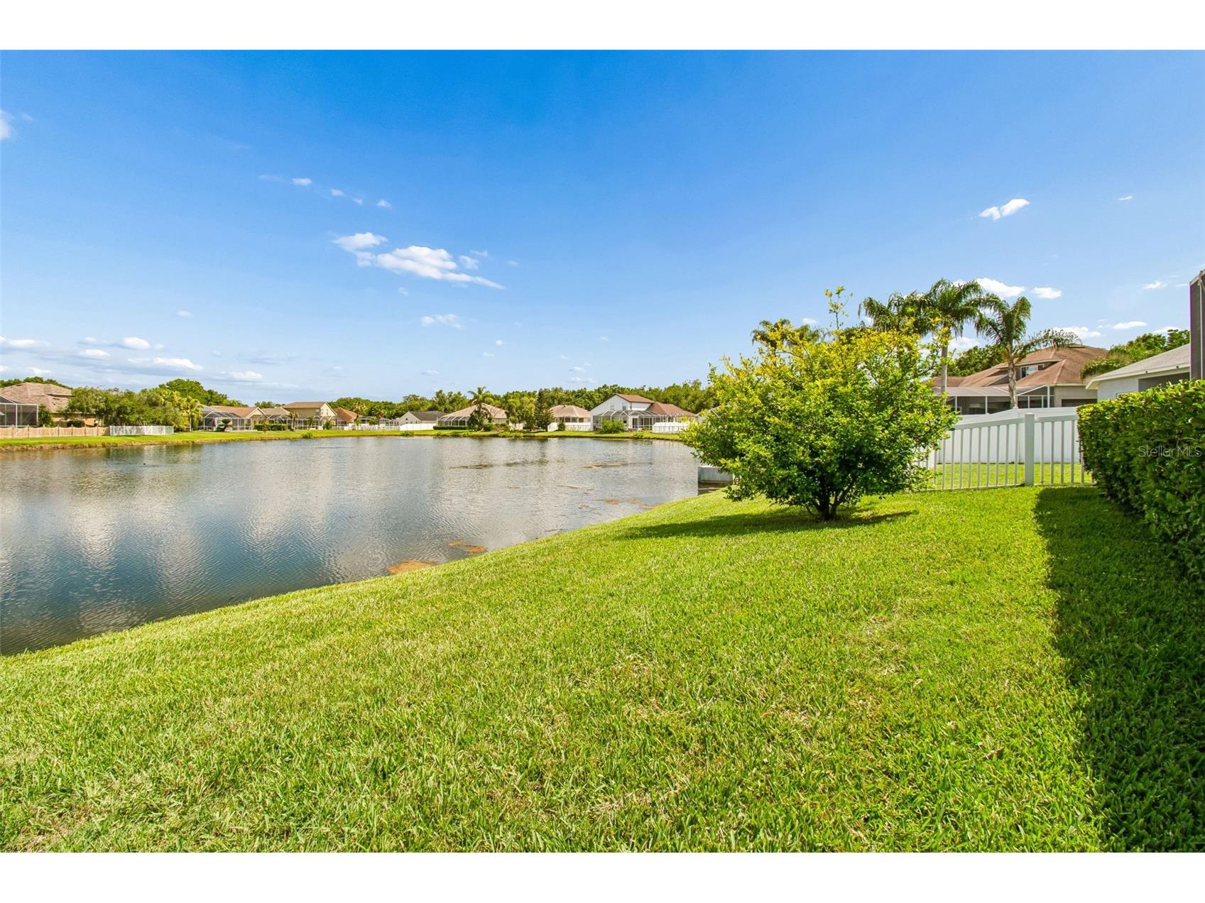 3452 Williston Loop Land O Lakes FL 34639 TB8507836 image76