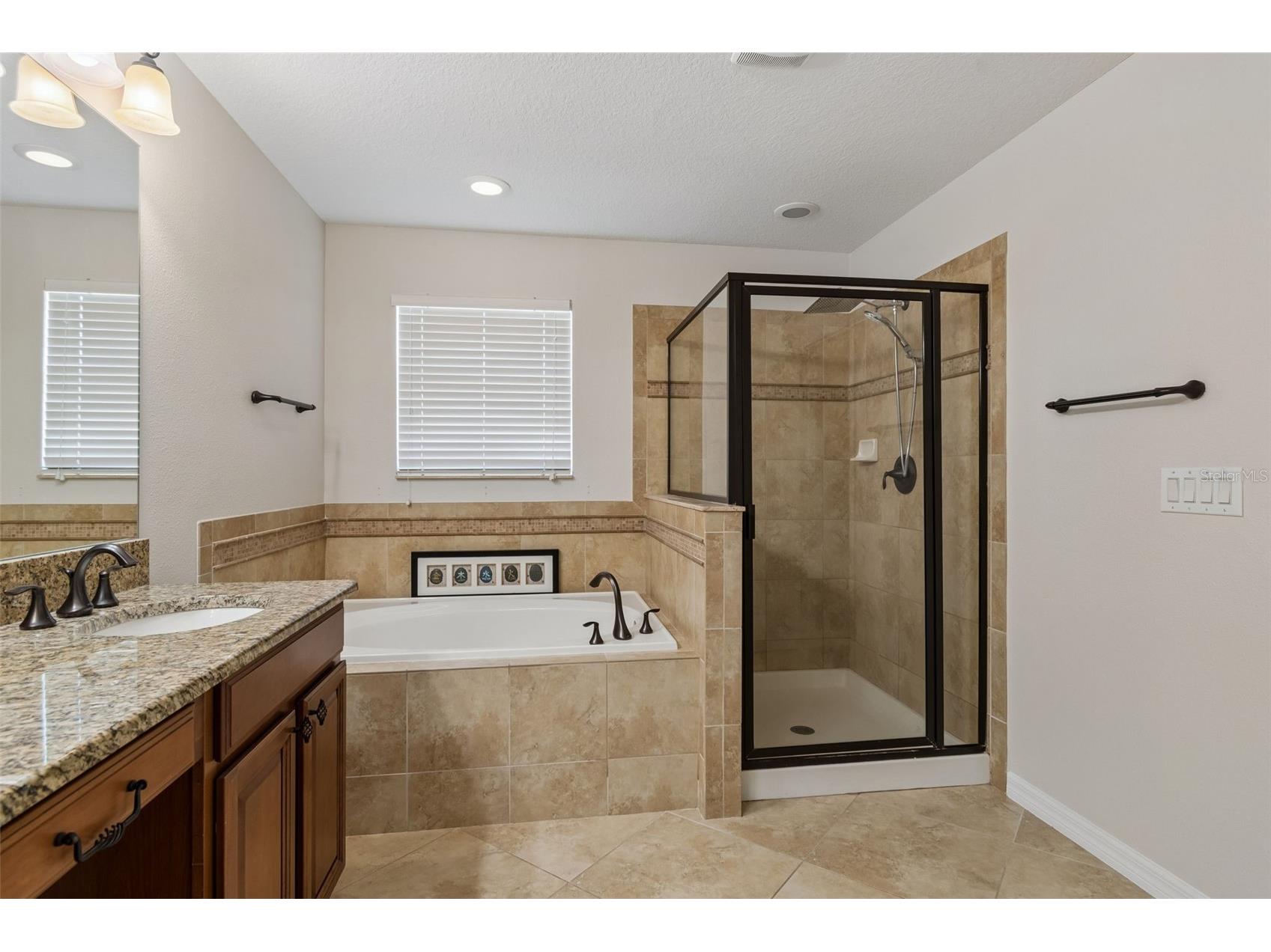 3453 Marmalade Court Land O Lakes FL 34638 TB8502987 image40