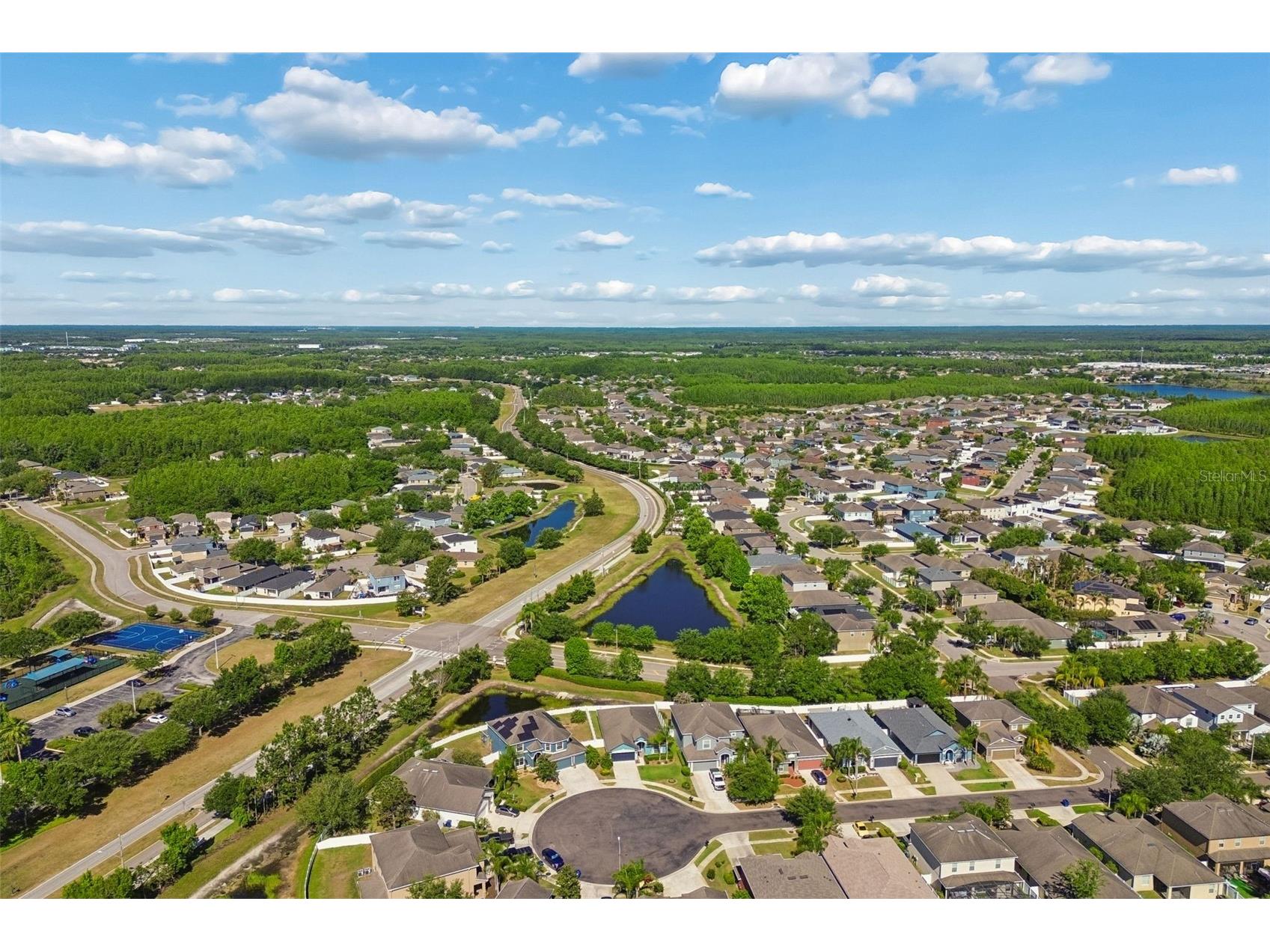 3453 Marmalade Court Land O Lakes FL 34638 TB8502987 image69